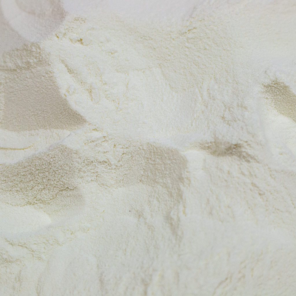 Whey Powder Whey Protein also available Superfoods Wholesale